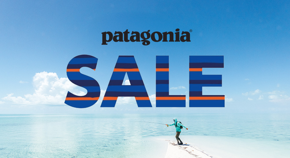 patagonia SALE